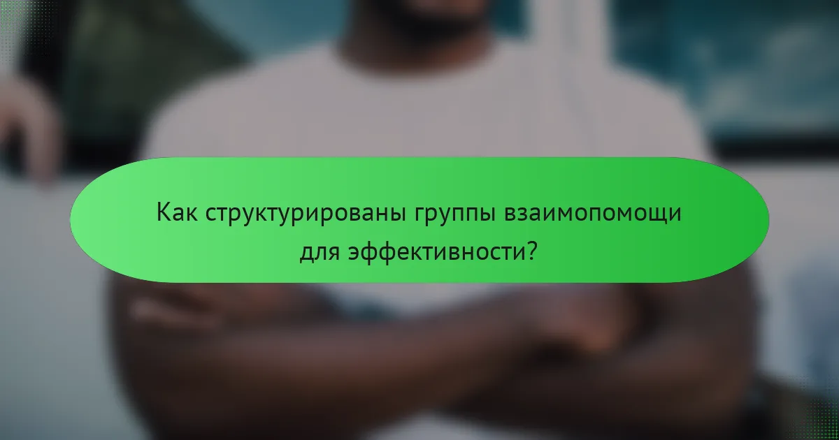 Как структурированы группы взаимопомощи для эффективности?